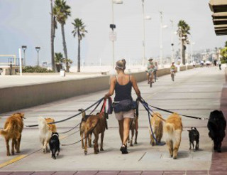 exercise-with-your-dog