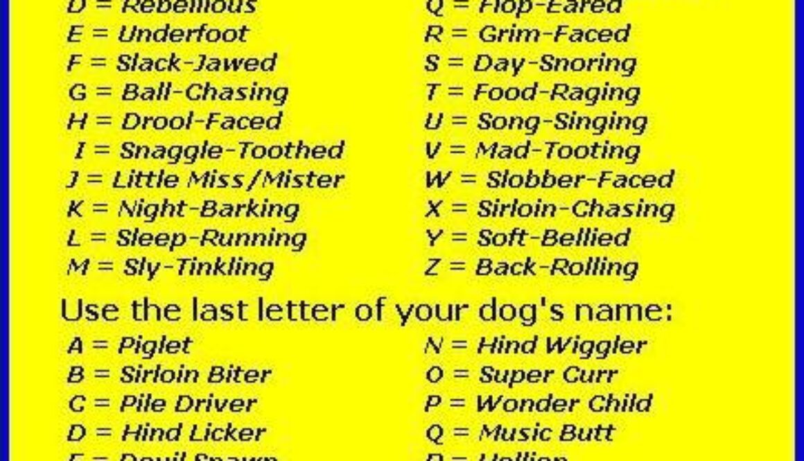 Meme-Name-Game-072412