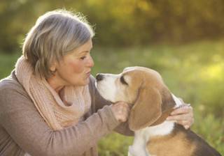 microchipping-your-dog