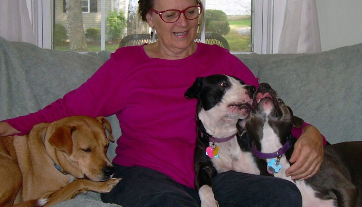 ABC Dog Training Program's Student of the month - Zenith "Beirne