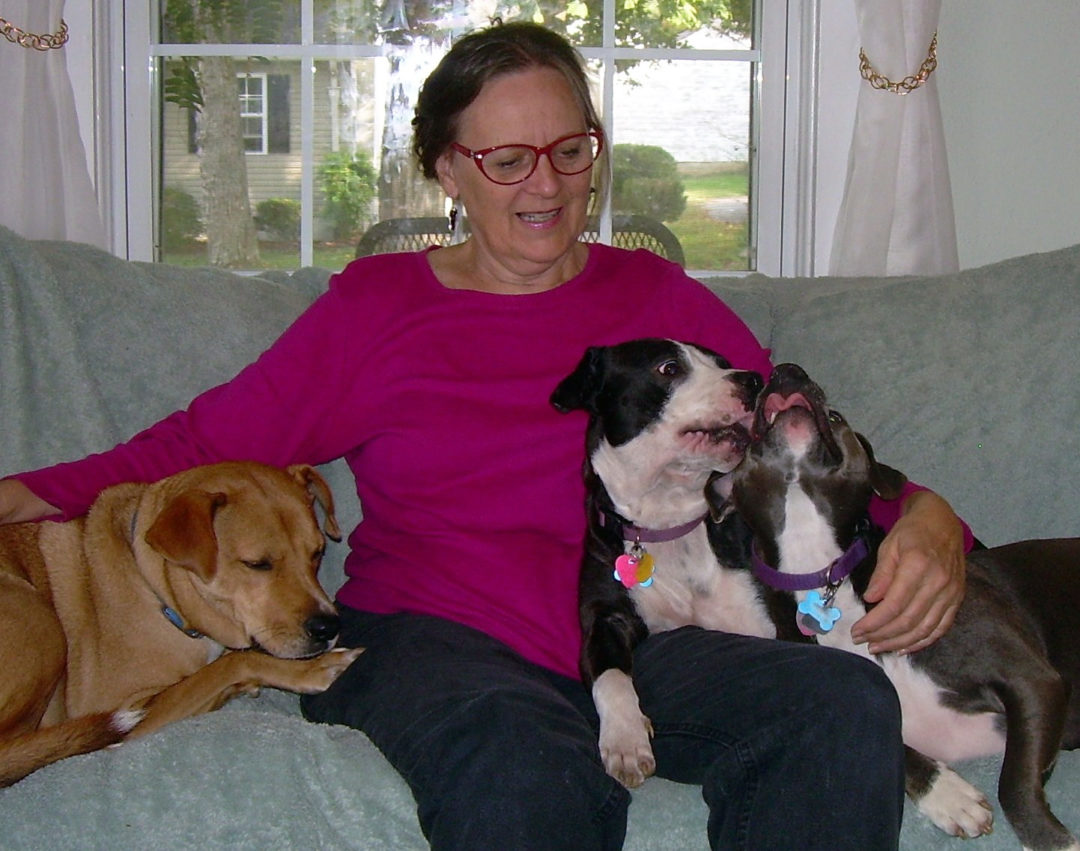 ABC Dog Training Program's Student of the month - Zenith "Beirne