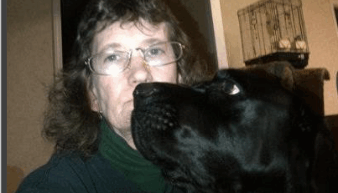 GIP-SOM-Lisa-Deoppe-jan-2013