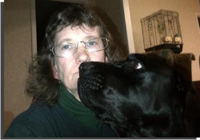 GIP-SOM-Lisa-Deoppe-jan-2013