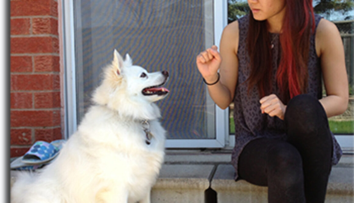 roxana liu - ABC Grooming Student of the Month - February 2013