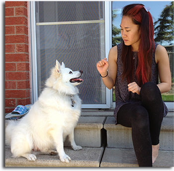 roxana liu - ABC Grooming Student of the Month - February 2013