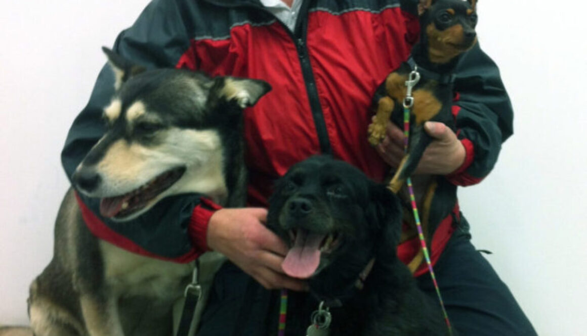 Sheena Hnatuk - Animal Behavior College Student of the Month