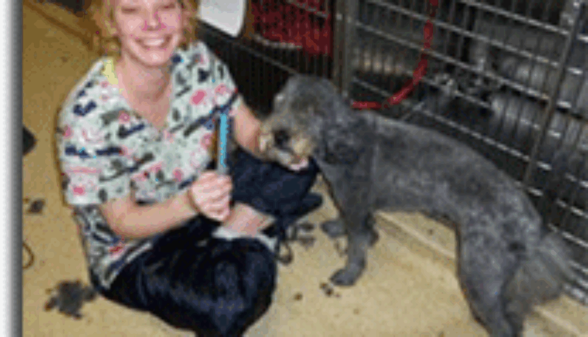 Shawntel-Heidebrecht