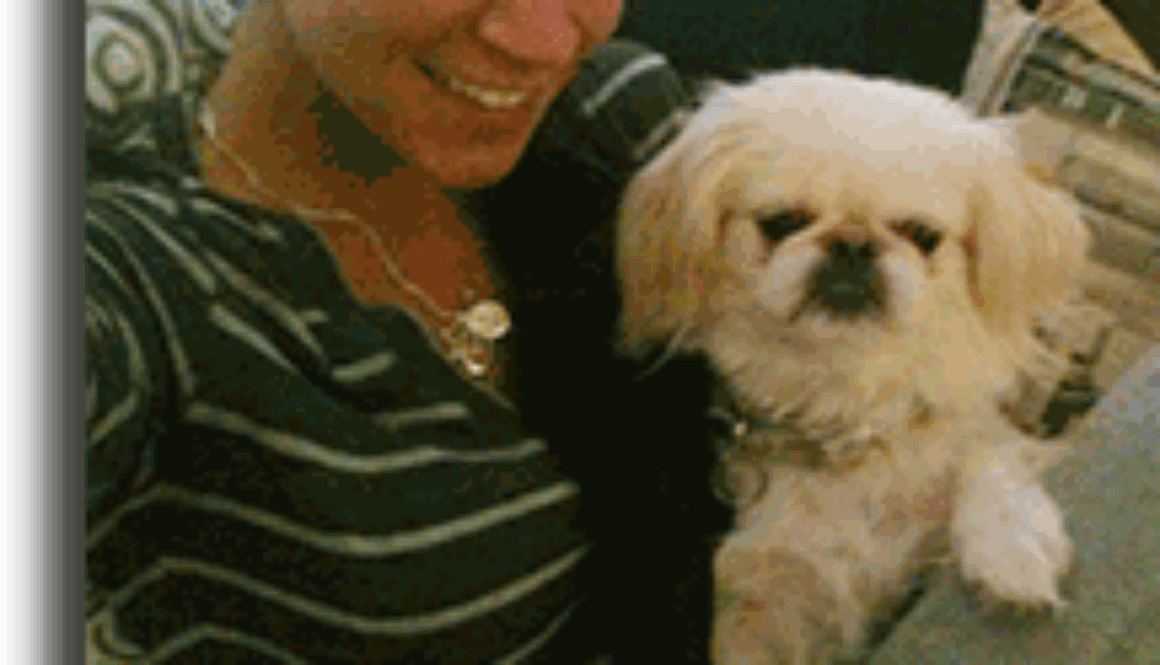 Hardesty-Shennandoah