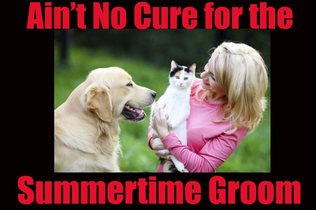 Young woman with her pets.