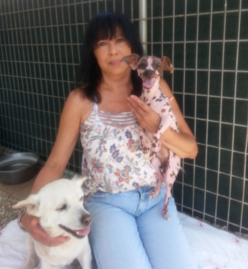 SUEANN-adopt-a-dog-5-5