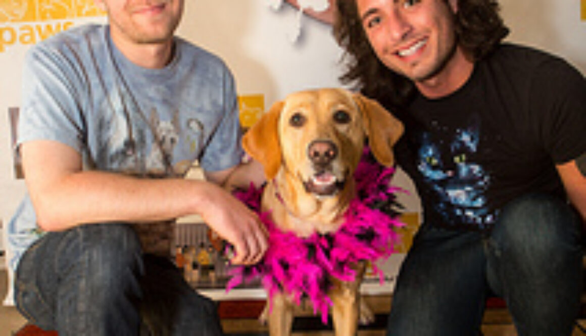 dog-groomer-san-fransisco