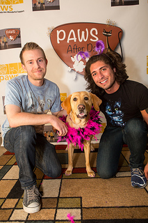 dog-groomer-san-fransisco