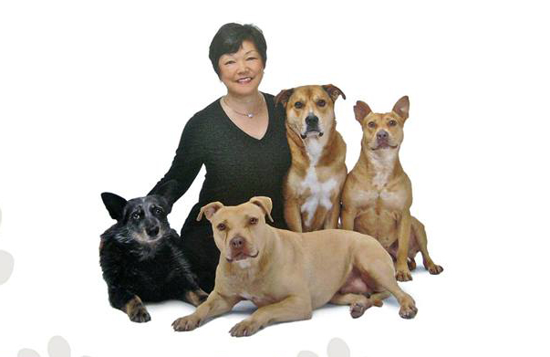 kk-good-dog-training-2