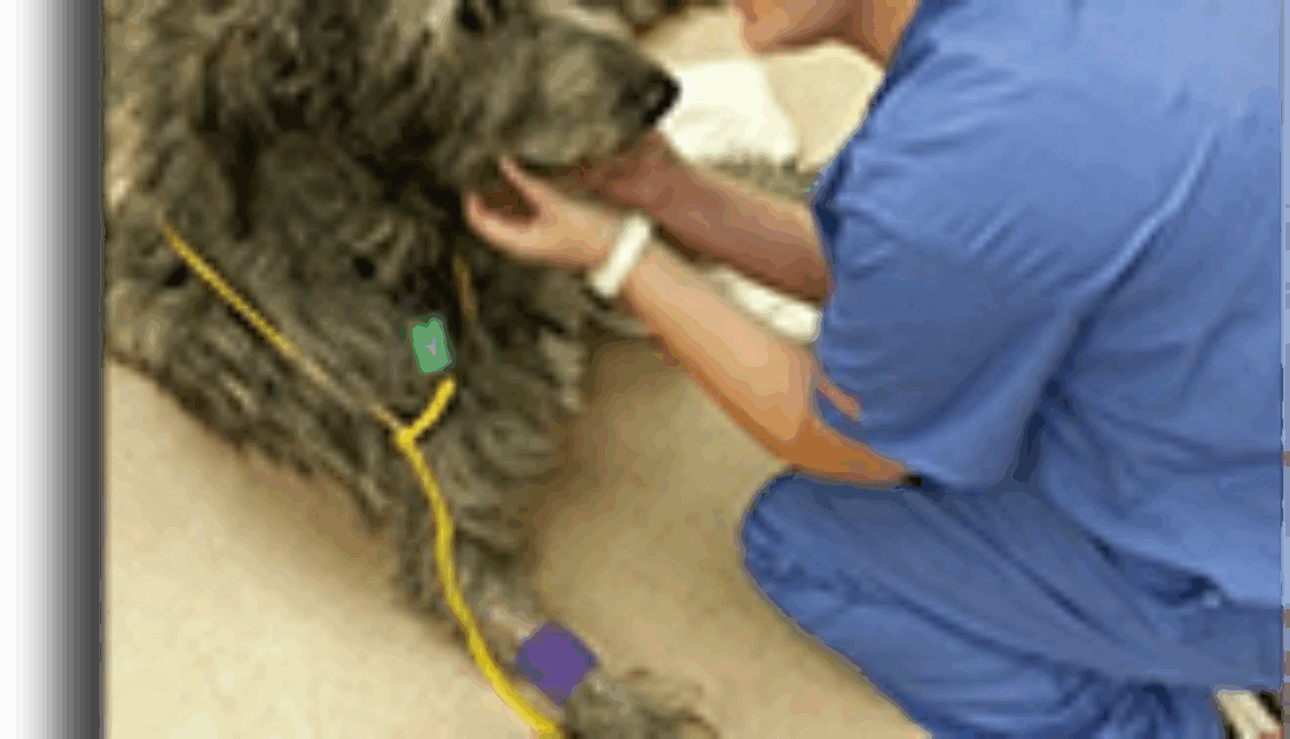 Stacia-Orange-November-Student-Of-The-Month