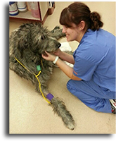 Stacia-Orange-November-Student-Of-The-Month