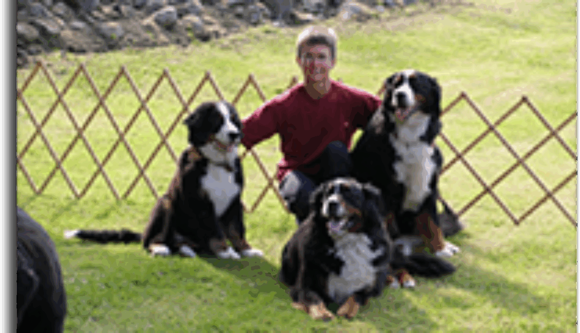 dog-trainer-program-student-of-the-month-nicole-turesky