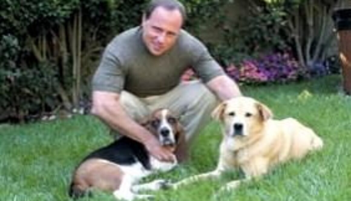 Steve-and-dogs