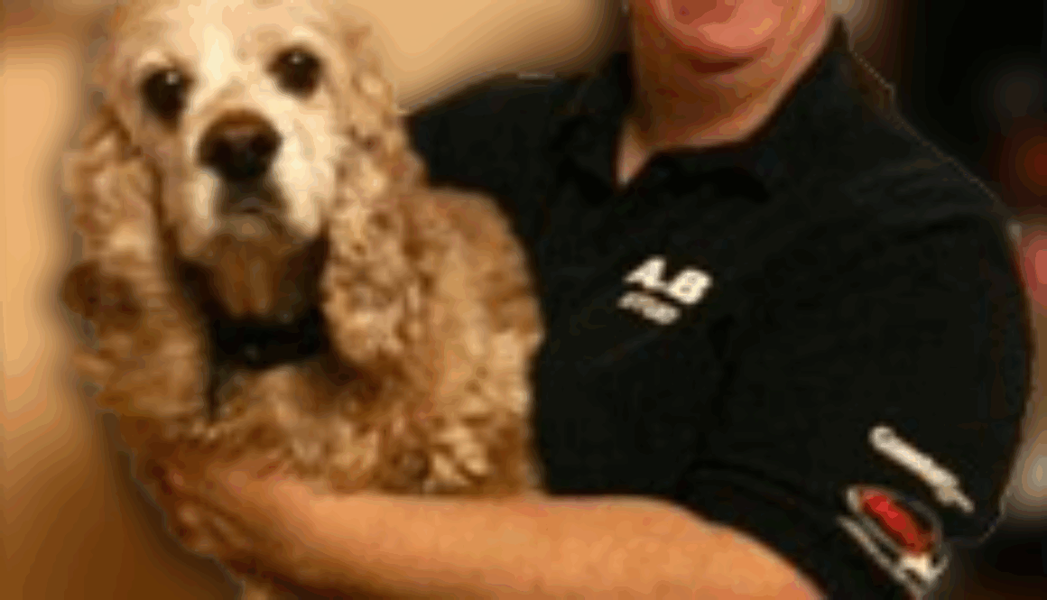 sandy-nelson-alexander