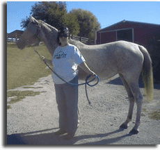 linda-domer-dog-training-student-of-the-month