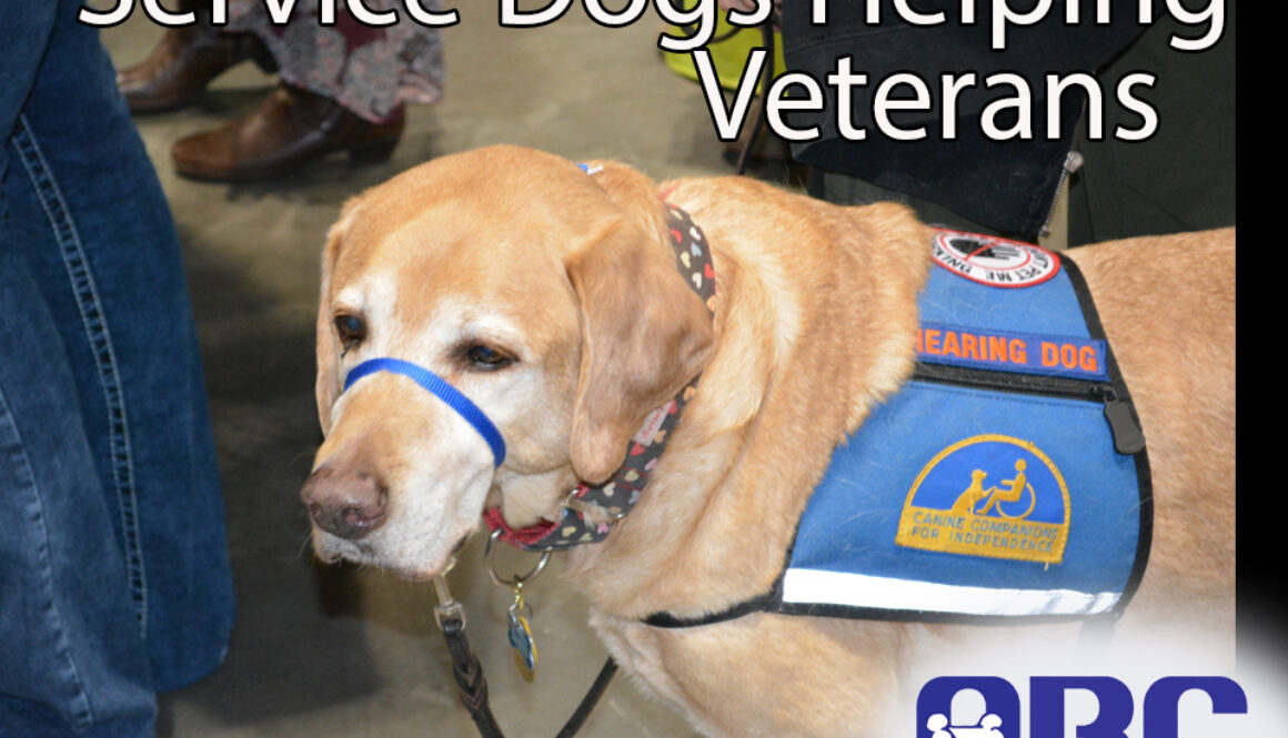 service-dogs-helping-vets-with-ptsd