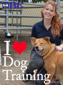 i_heart_dog_training
