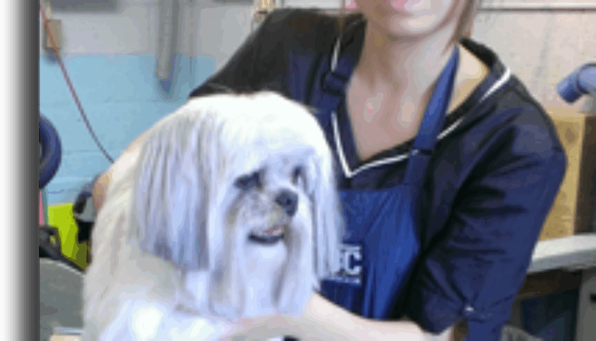 grooming-student-of-the-month-rina-causey