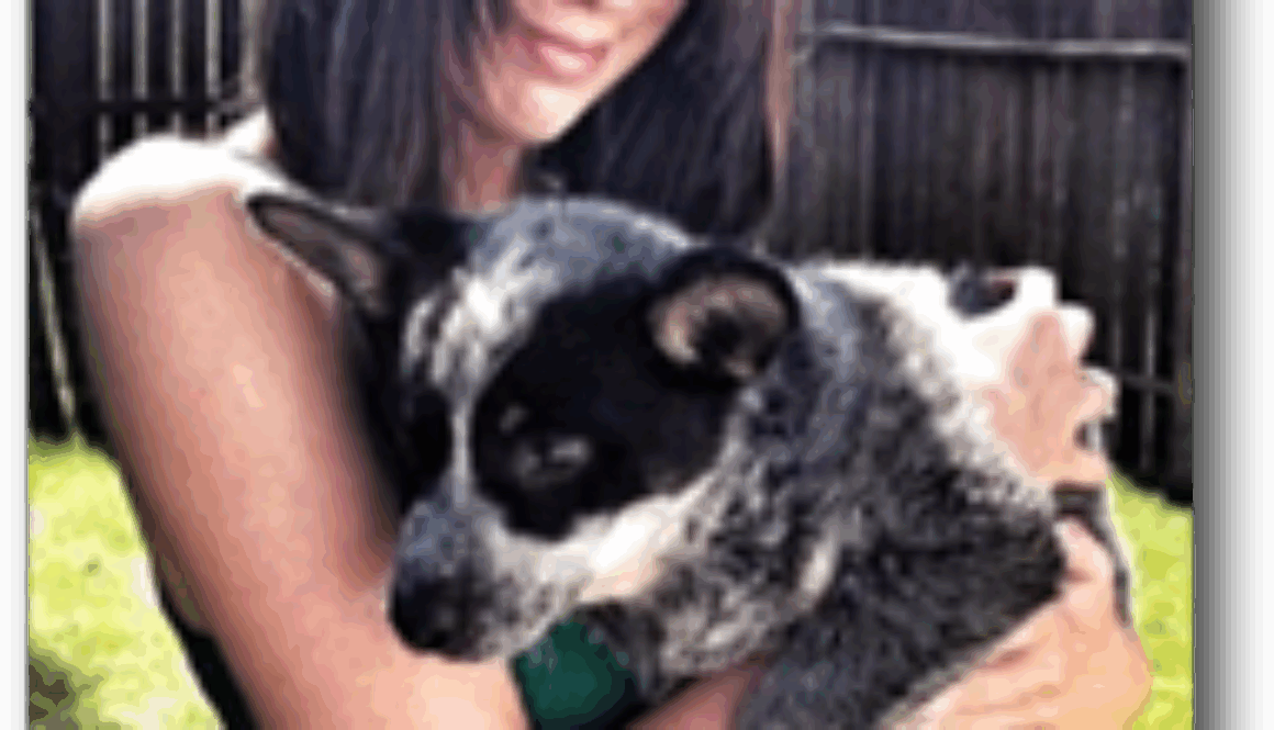 jade-gibbons-grooming-program-student-of-the-month