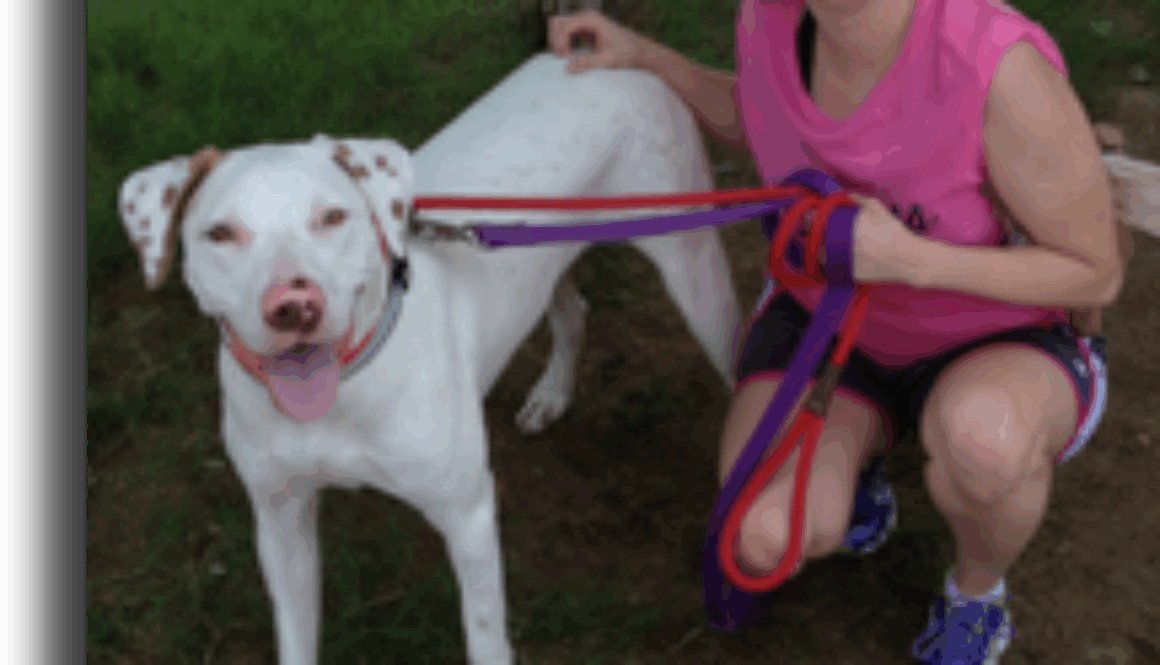 victoria-boone-student-of-the-month-veterinary-assistant