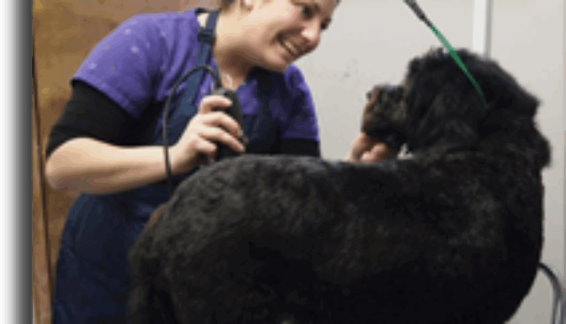 Grooming-program-canadian-student-of-the-month-shyanne-bird