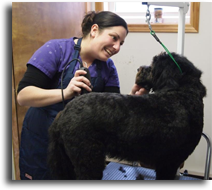 Grooming-program-canadian-student-of-the-month-shyanne-bird