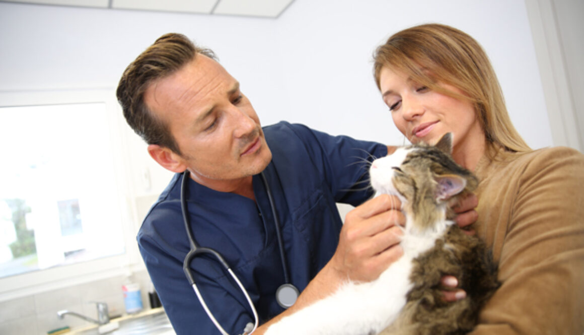 CatVetLead