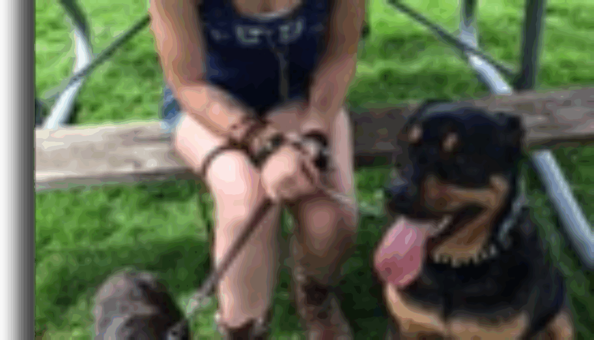 abc-grooming-program-tania-langrehr-student-of-the-month