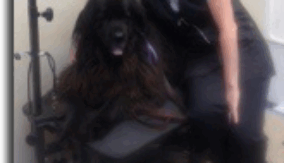 grooming-program-student-of-the-month-barbara-messino