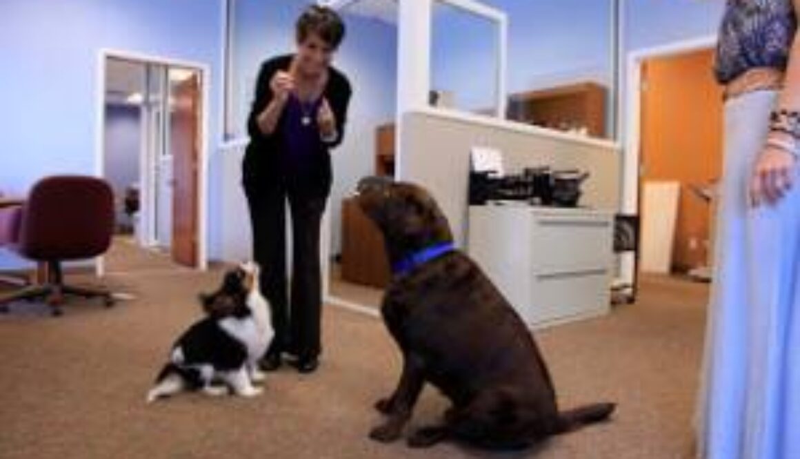 dog-obedience-program-student-of-the-month-claudia-brooks