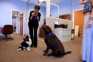 dog-obedience-program-student-of-the-month-claudia-brooks