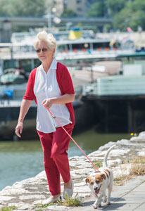 Dog Walking Dog Walking