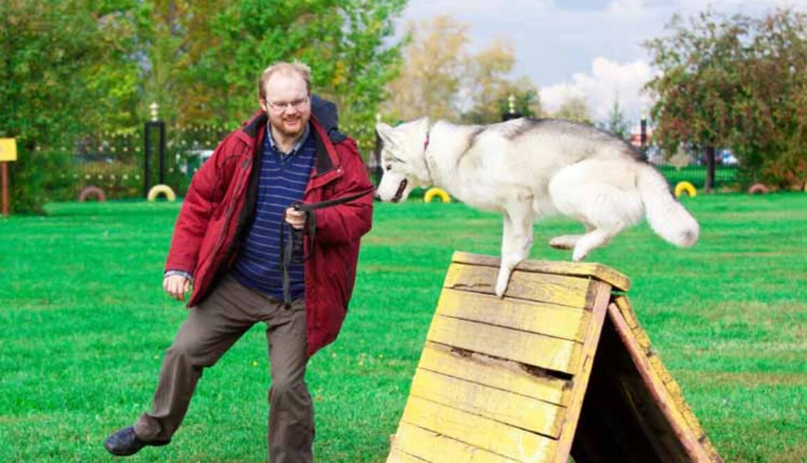 Animal Trainer Certification