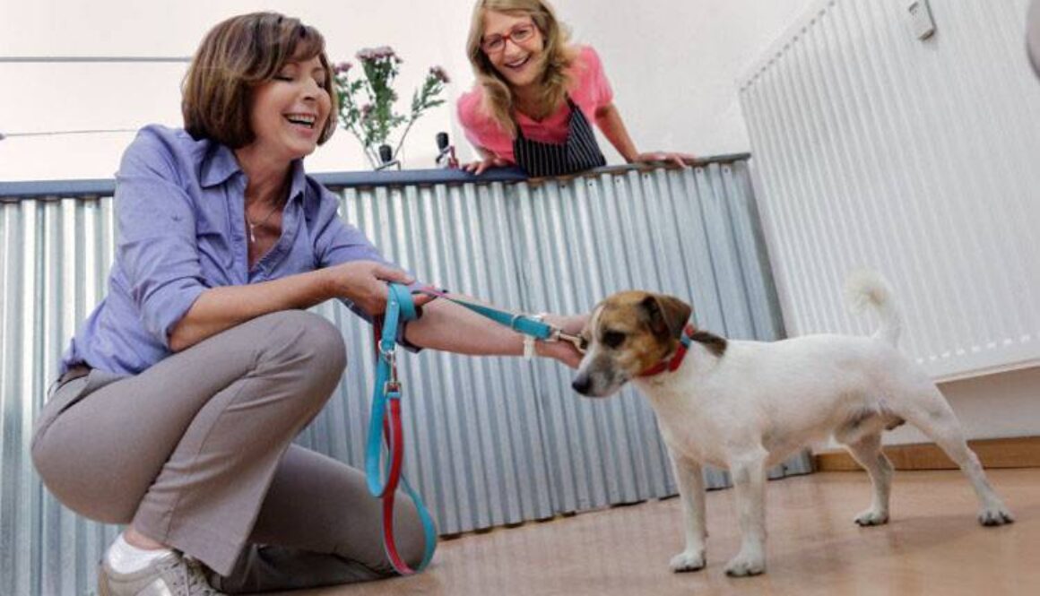 Do You Tip Dog Groomers?