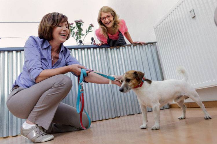 Do You Tip Dog Groomers?