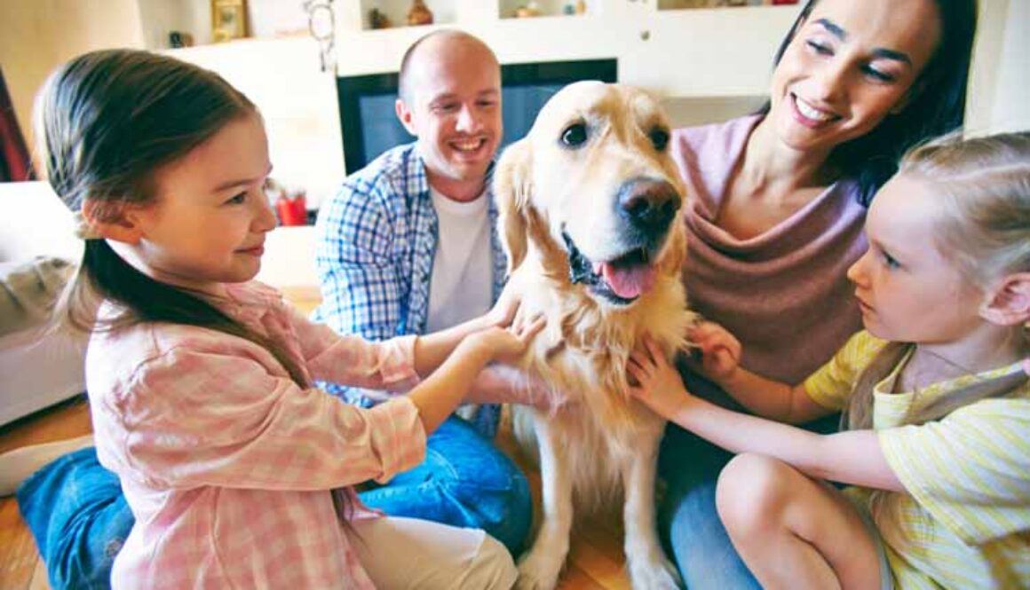 How to Select the Right Breed Part 2
