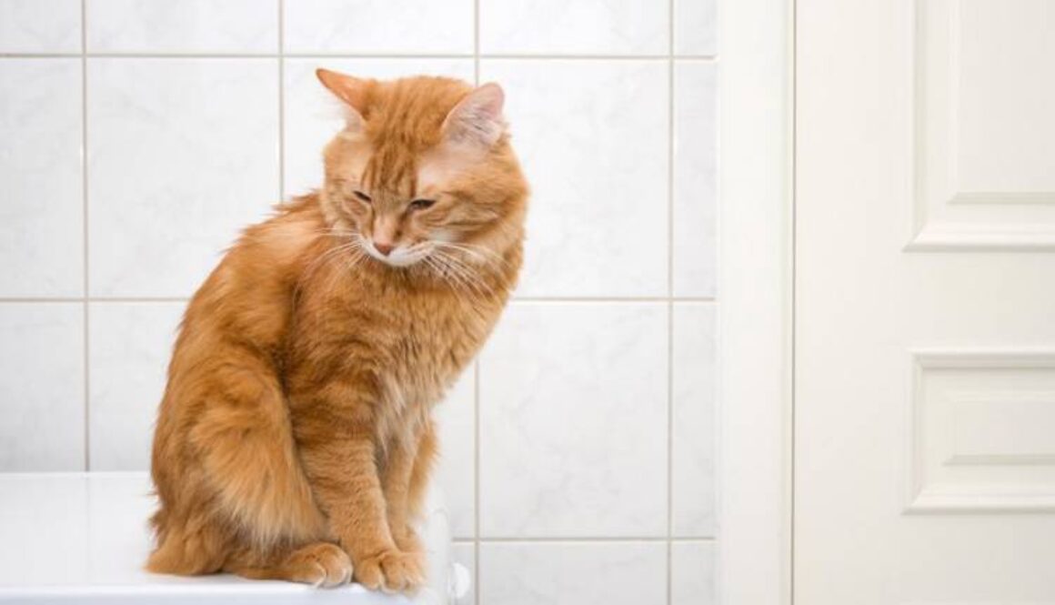 Dangerous Places in Your Home