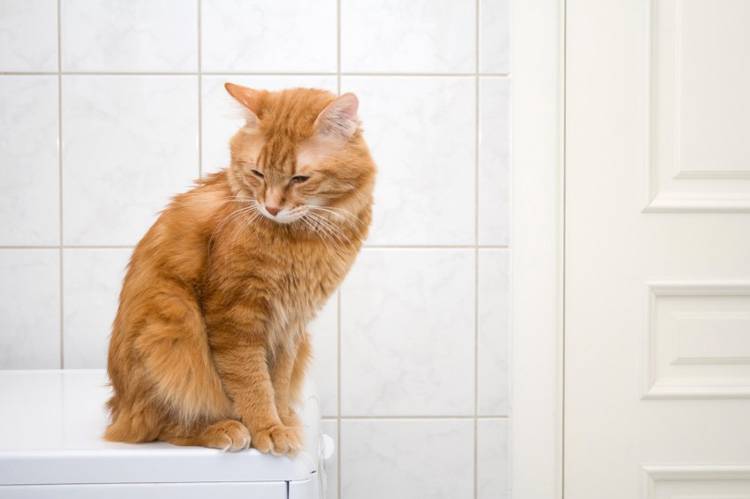 Dangerous Places in Your Home