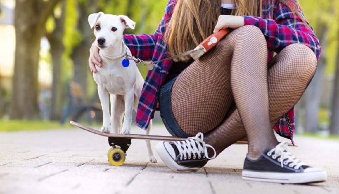 Training Your Dog to Skate