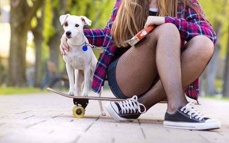 Training Your Dog to Skate