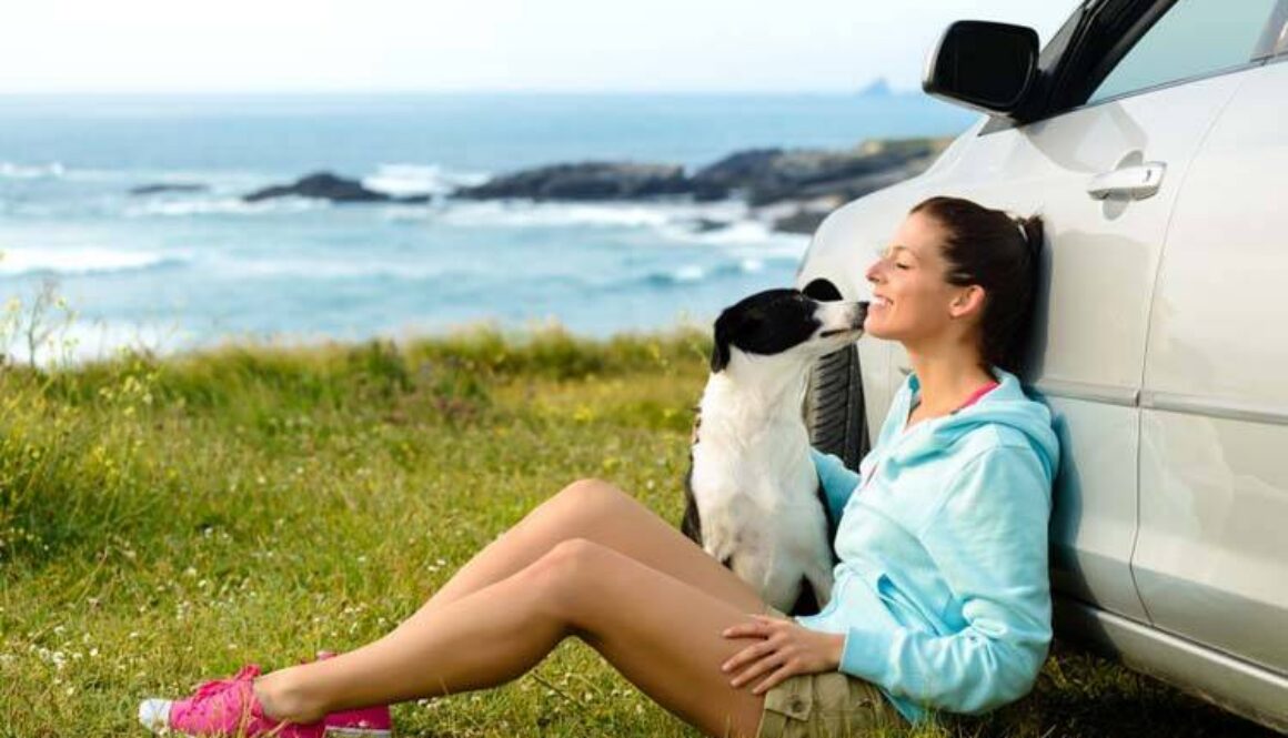 Traveling With Your Dog