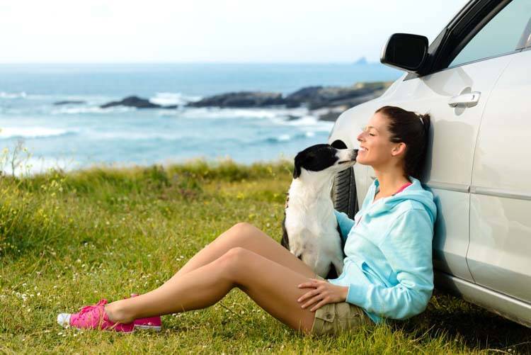 Traveling With Your Dog