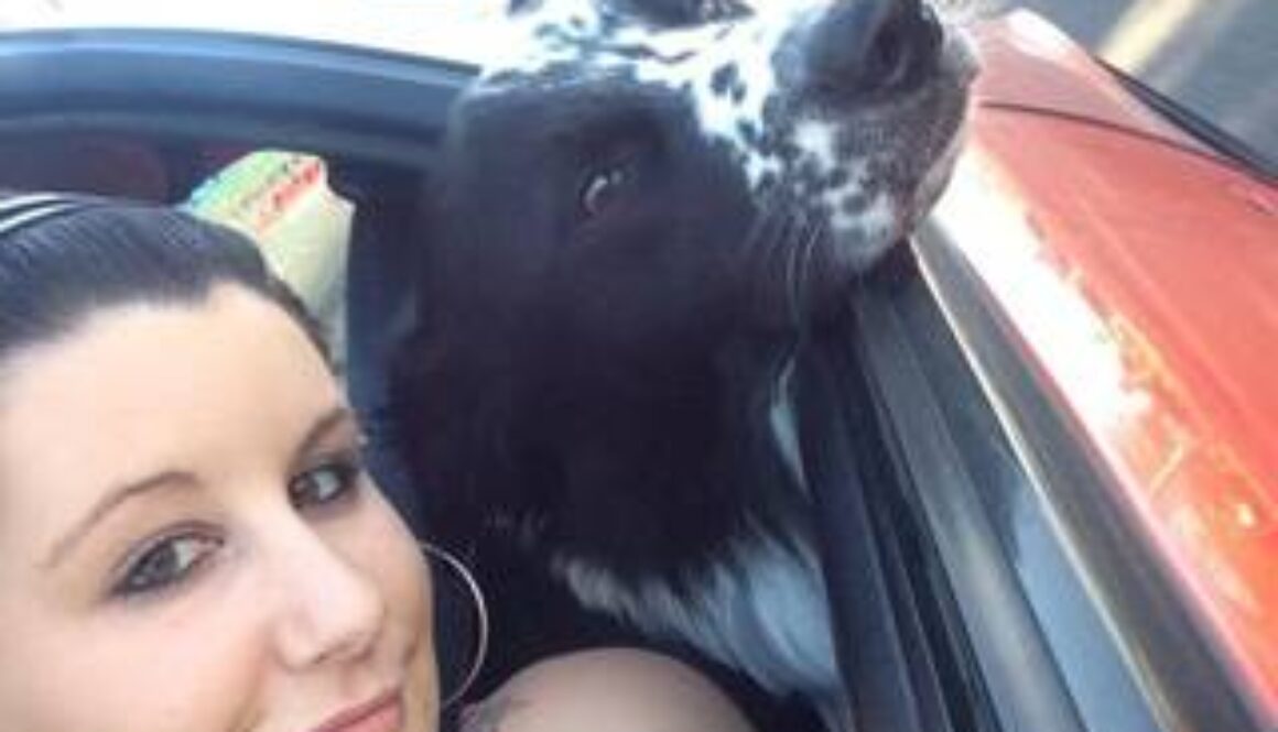 Dog Groomer Megan McDermott