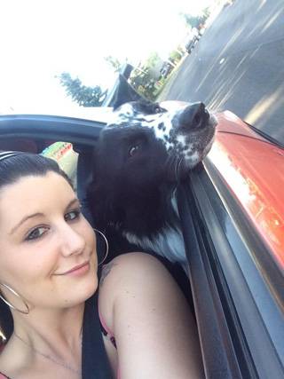 Dog Groomer Megan McDermott