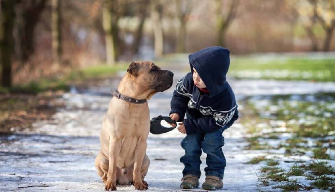 How to Choose a Dog for Kids