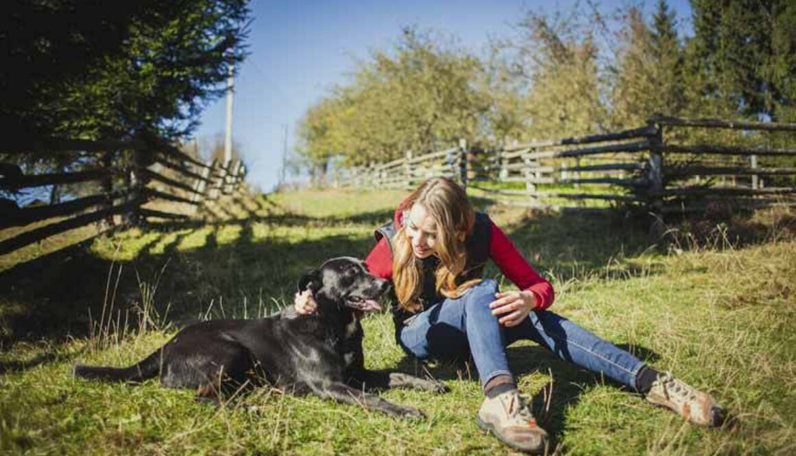 How to Keep Your Dog Happy in the Heat